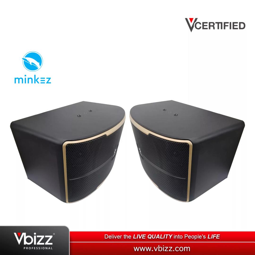 minkez-p-10-karaoke-speaker-pair